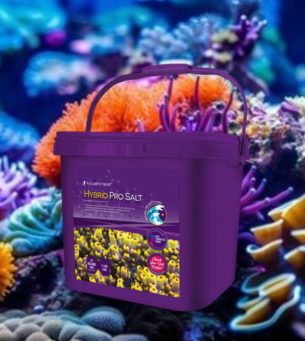 AF REEF HYBRID PRO SALT 5kg TUB – All Things Marine