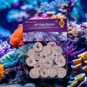 AF FRAG ROCKS PURPLE 24pcs