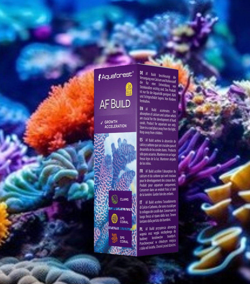 AF BUILD 10ml – All Things Marine
