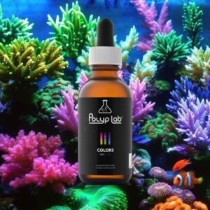 POLYPLAB COLORS 50ml